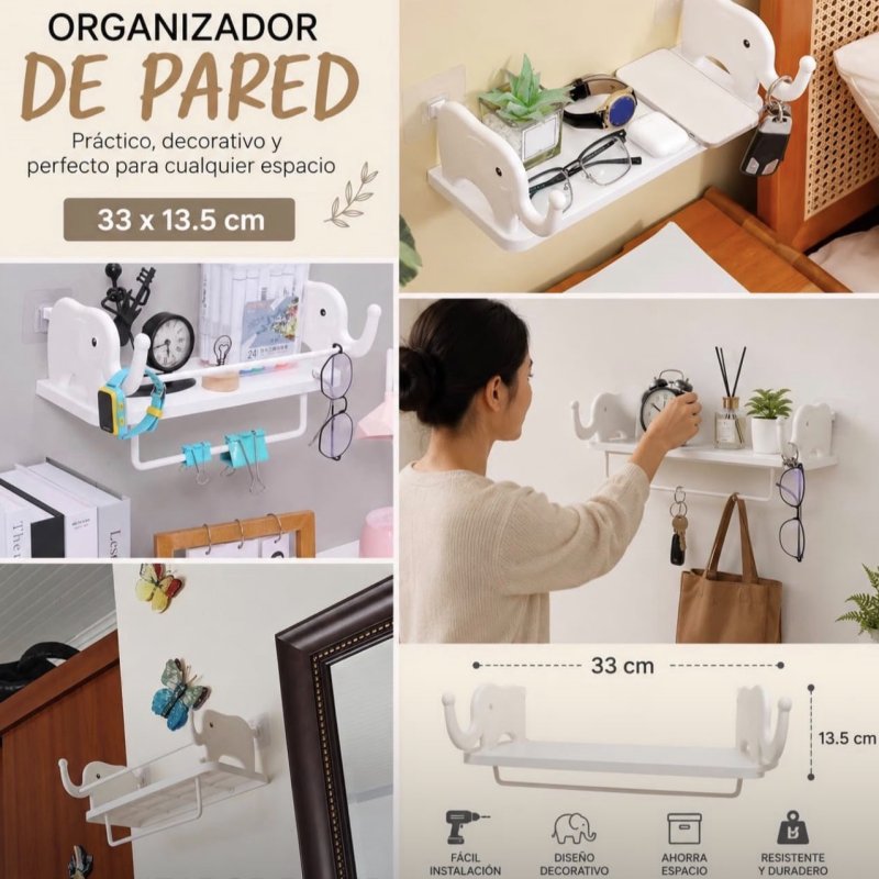 ORGANIZADOR PARED